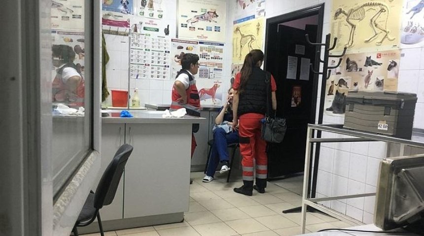 В Киеве с ножом напали на врача ветклиники (фото)
