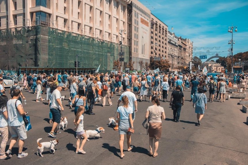 В Киеве прошел костюмированный парад собак породы Джек-рассел (фото)