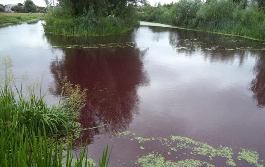 В Броварах появилось «кровавое» озеро (фото)