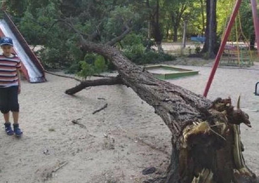 В одном из районов Киева дерево упало на детскую площадку (фото)