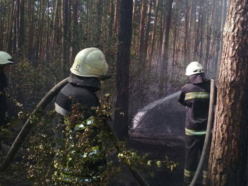 В Дарницком лесопарке Киева произошел пожар (фото)
