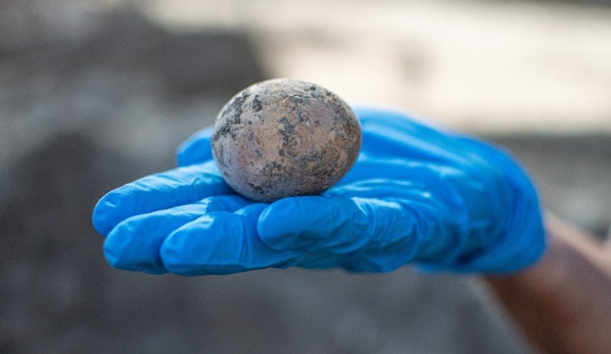 В Израиле обнаружили целое тысячелетнее куриное яйцо