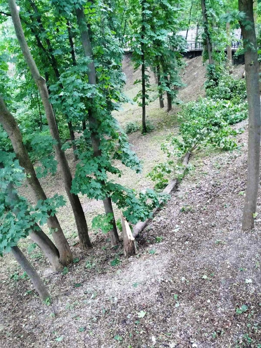 Повалені дерева у Києві, 3 червня 2023 року