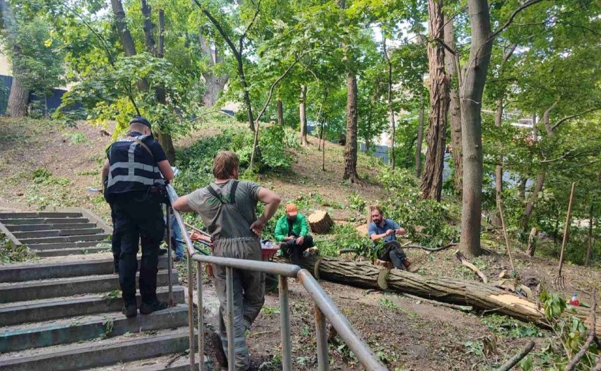 Біля Аскольдової могили в Києві невідомі спиляли дерева