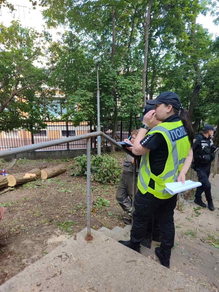 Біля Аскольдової могили в Києві невідомі спиляли дерева