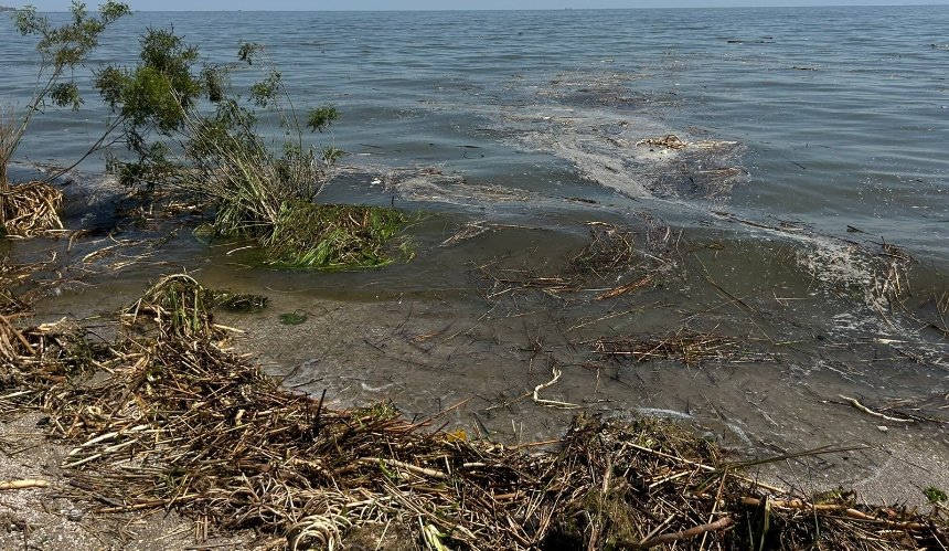 Вода в Дніпрі забруднена у 28 тисяч разів вище норми