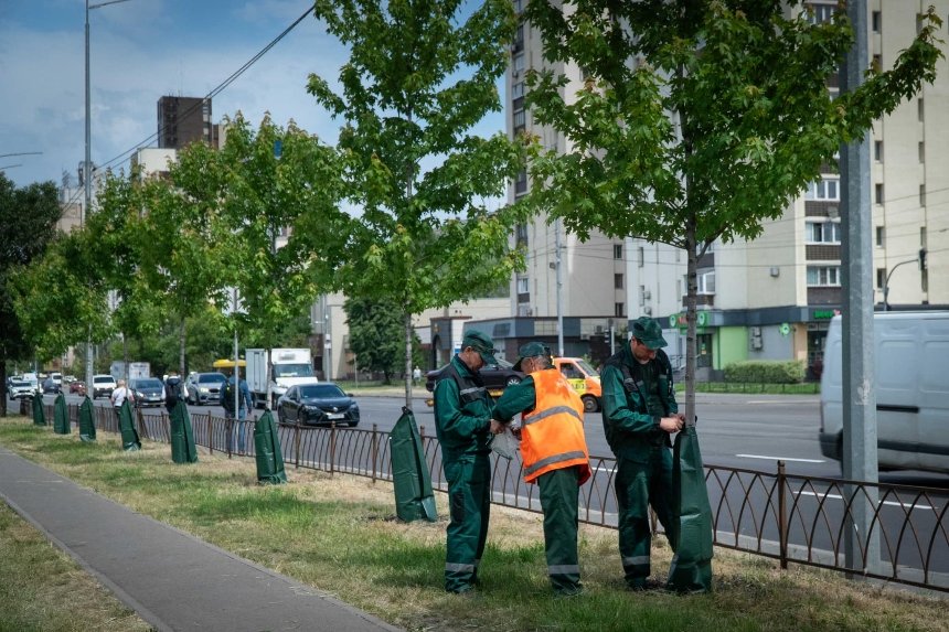 У парках та скверах Києва встановлюють мішки для поливу молодих дерев: як вони виглядають