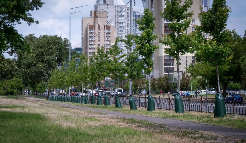 У парках та скверах Києва встановлюють мішки для поливу дерев: як вони виглядають