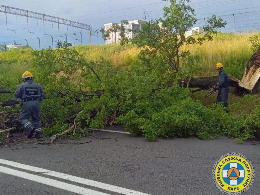 На вихідних у Києві вітер повалив 157 дерев, на пляжі Троєщина рятувальники дістали з-під поваленого дерева людей, які відпчивали у наметі.