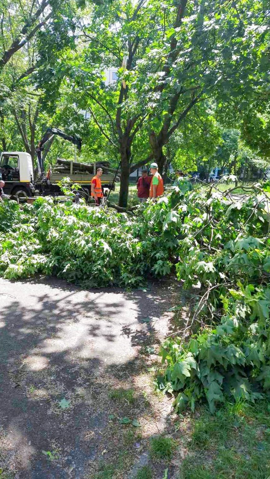 На вихідних у Києві вітер повалив 157 дерев, на пляжі Троєщина рятувальники дістали з-під поваленого дерева людей, які відпчивали у наметі.