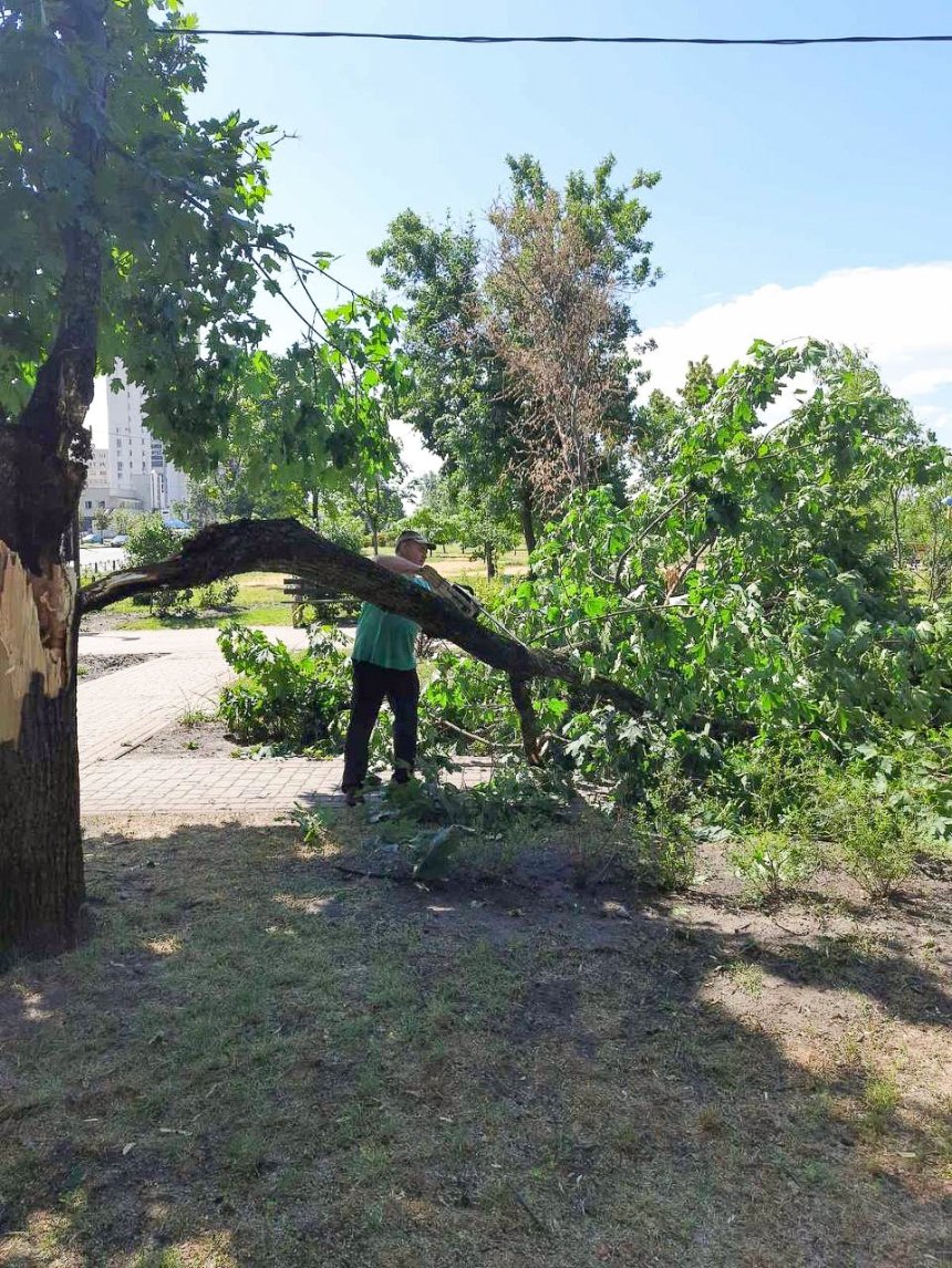 На вихідних у Києві вітер повалив 157 дерев, на пляжі Троєщина рятувальники дістали з-під поваленого дерева людей, які відпчивали у наметі.