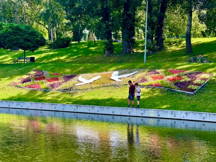 У парку “Відрадний” Солом’янського району Києва створили квітник у формі вишитого рушника: як він виглядає