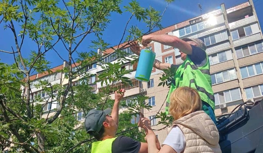 У Києві стартував сезонний фітосанітарний моніторинг, на дерева вішають приманки для шкідників