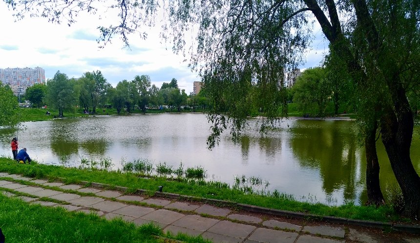 На озері Віра у Києві проведуть обробку для покращення екологічного стану водойми: подробиці