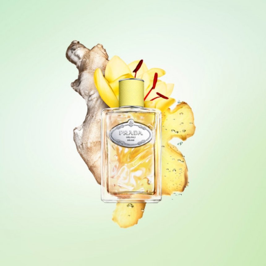 Prada — Infusion de Gingembre