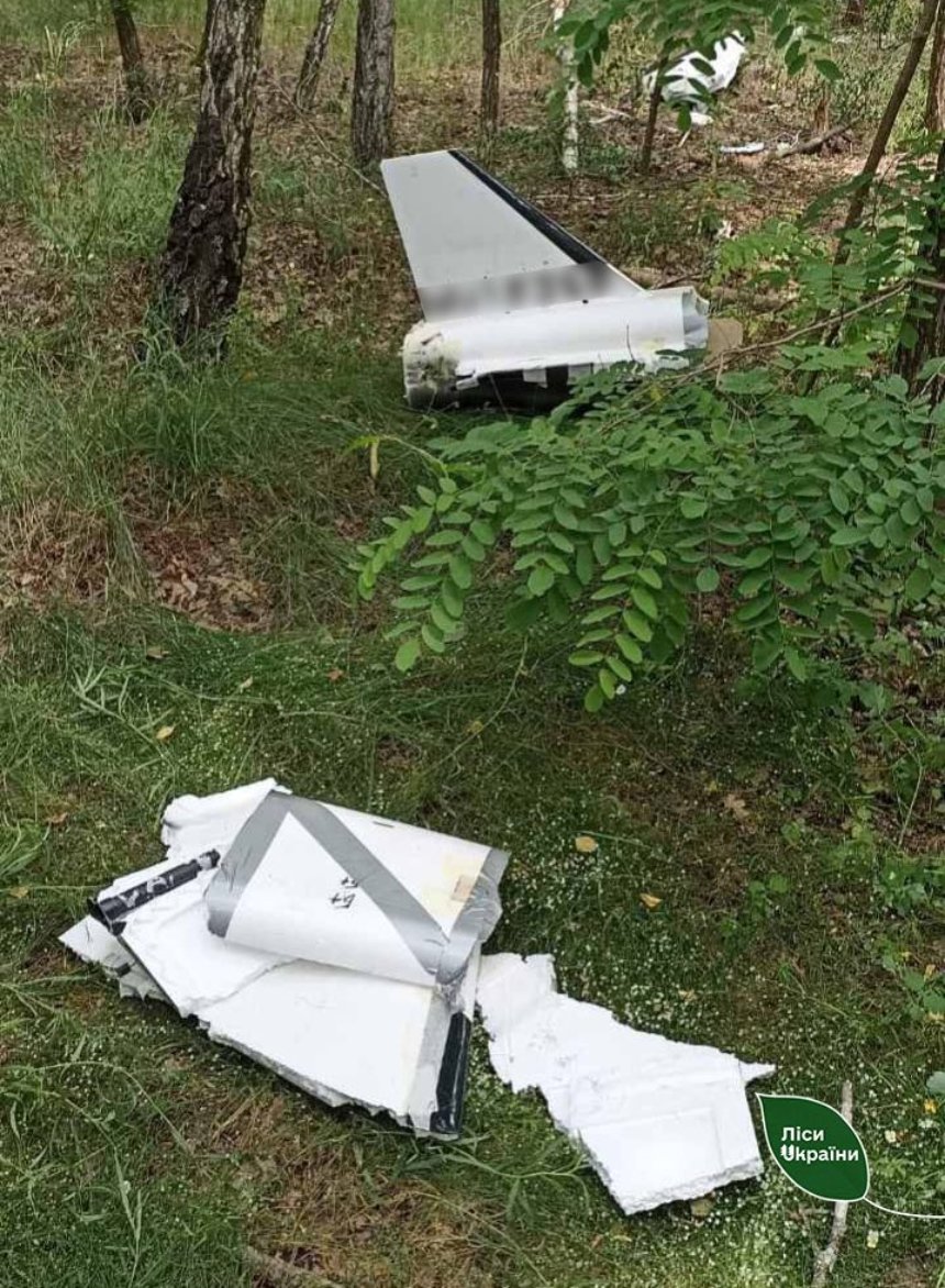 В лісі на Київщині виявили уламки БпЛА, що могли вибухнути і спричинити пожежу: фото