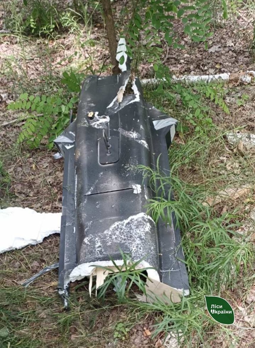 В лісі на Київщині виявили уламки БпЛА, що могли вибухнути і спричинити пожежу: фото