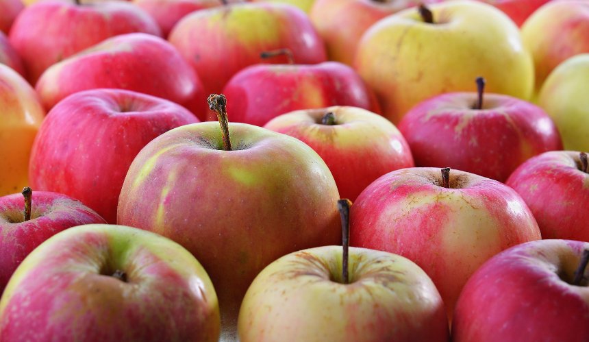 Де у Києві пройдуть продуктові ярмарки з 2 до 7 червня: перелік локацій