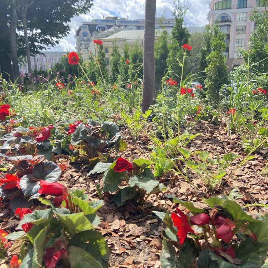 У Києві завершили облаштування Бельгійської алеї