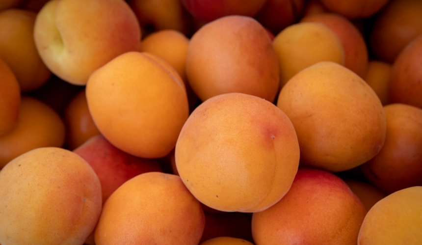 Розклад сезонних ярмарків у Києві: де купити свіжі продукти з 9 до 14 червня