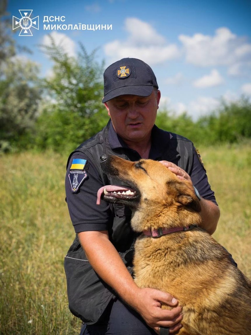 Як кінологи ДСНС тренують чотирилапих саперів