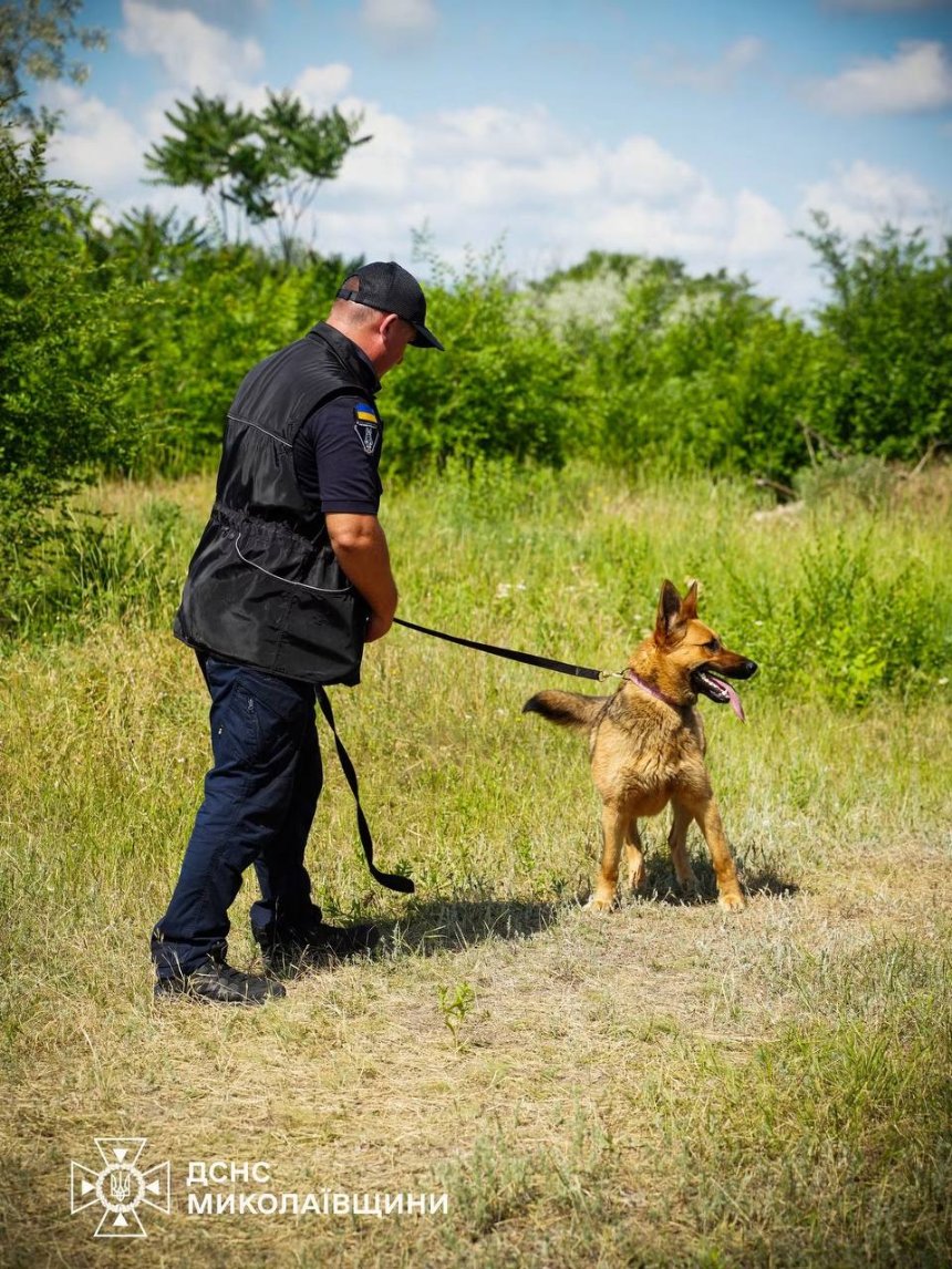 Як кінологи ДСНС тренують чотирилапих саперів