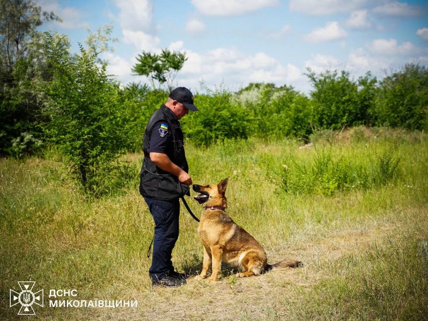 Як кінологи ДСНС тренують чотирилапих саперів