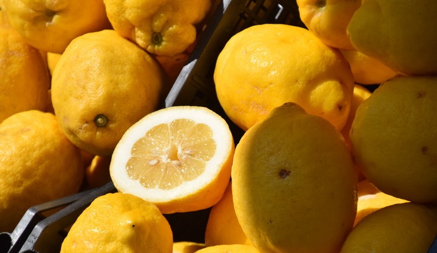 Де купити свіжі продукти: графік сільськогосподарських ярмарків у Києві на цей тиждень