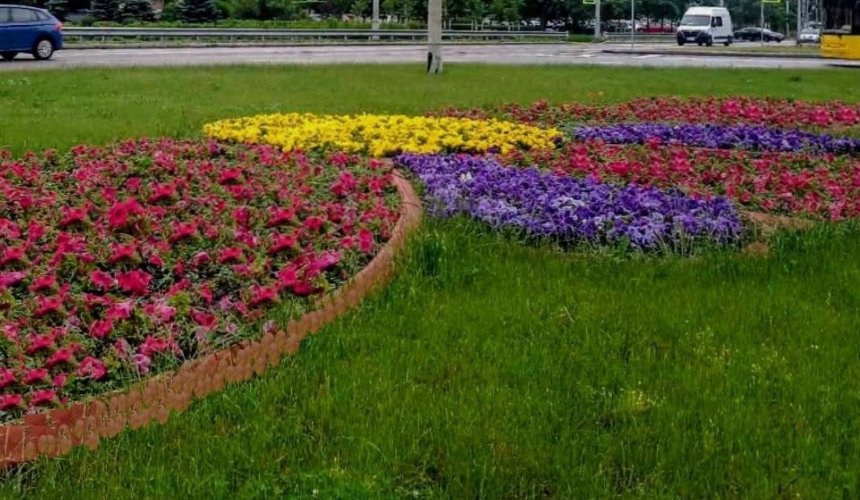 Фото: Київзеленбуд