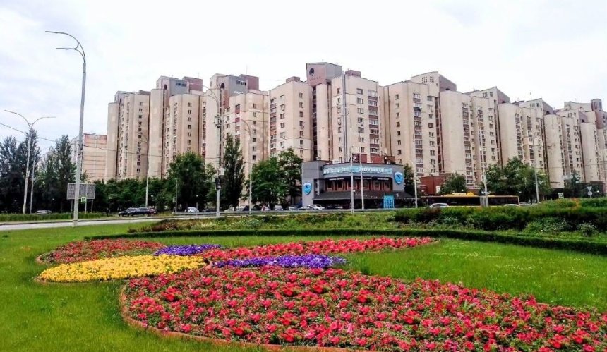 Оболонь прикрасили витривалими сурфініями: як вони виглядають