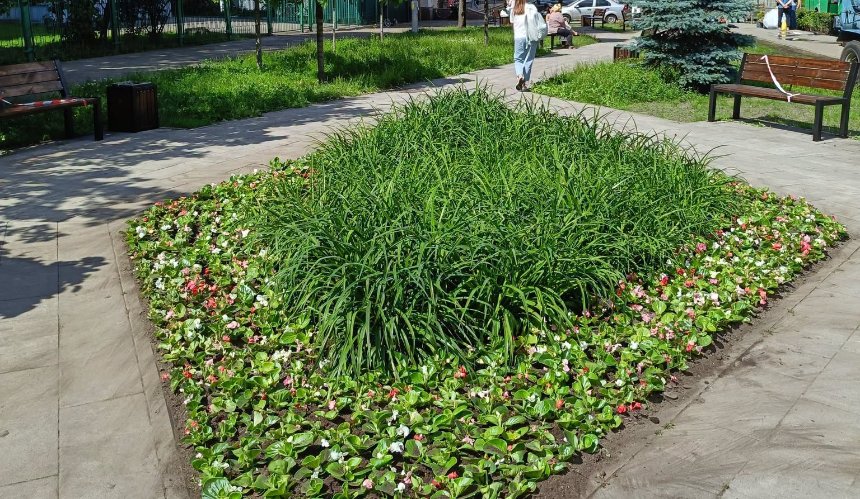 Біля метро "Політехнічний інститут" завершили оновлення скверу: як він виглядає