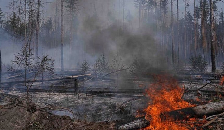 На Київщині оголошено надзвичайний рівень пожежної небезпеки