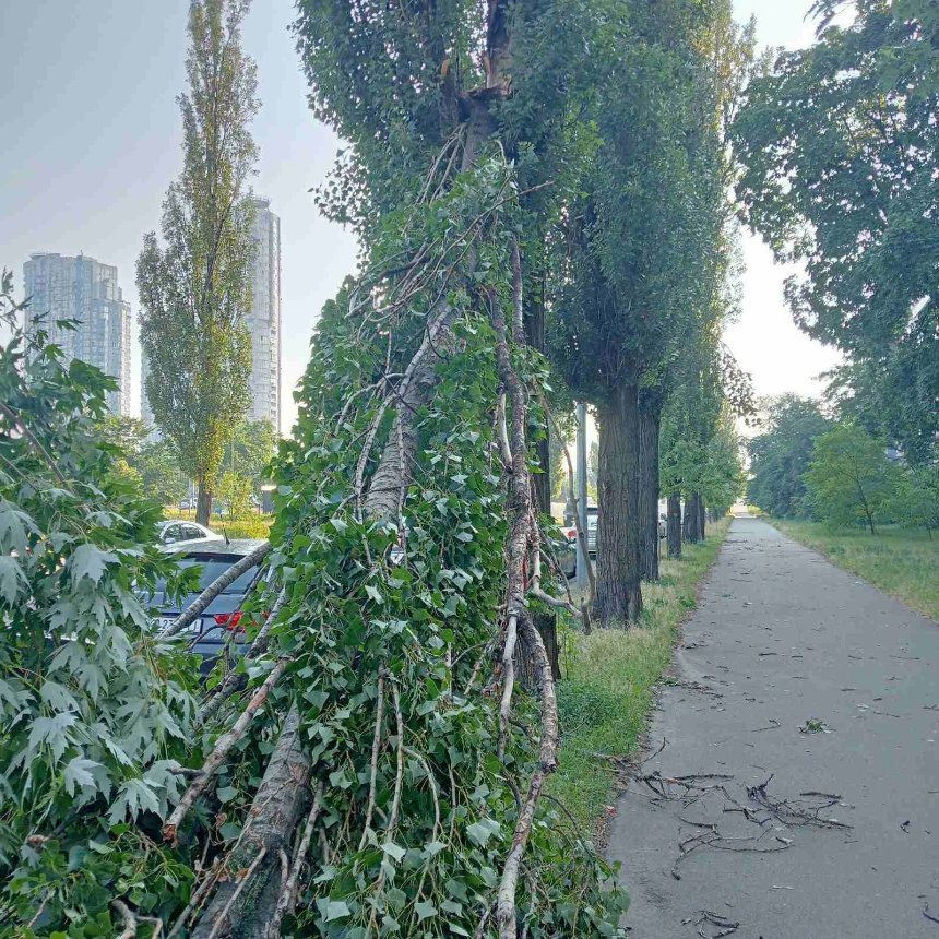 У Києві ліквідовують наслідки потужної негоди