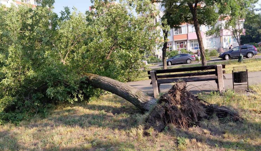 У Києві ліквідовують наслідки потужної негоди: фото