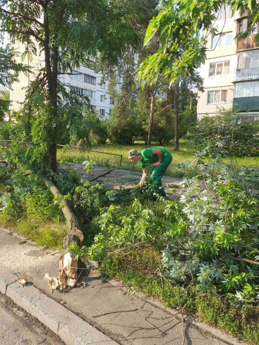 У Києві ліквідовують наслідки потужної негоди