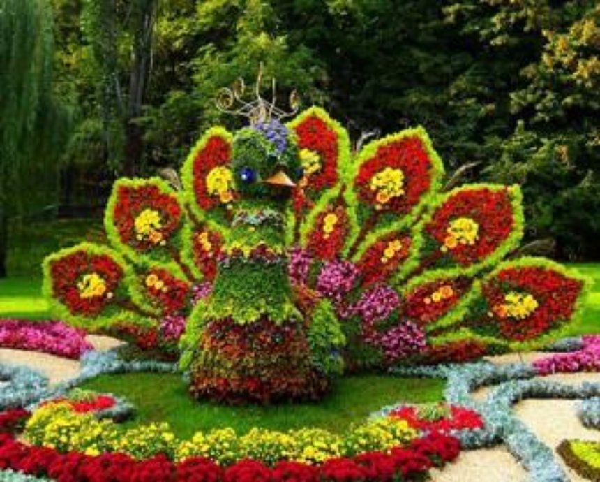 В Киеве проведут патриотическую выставку цветов