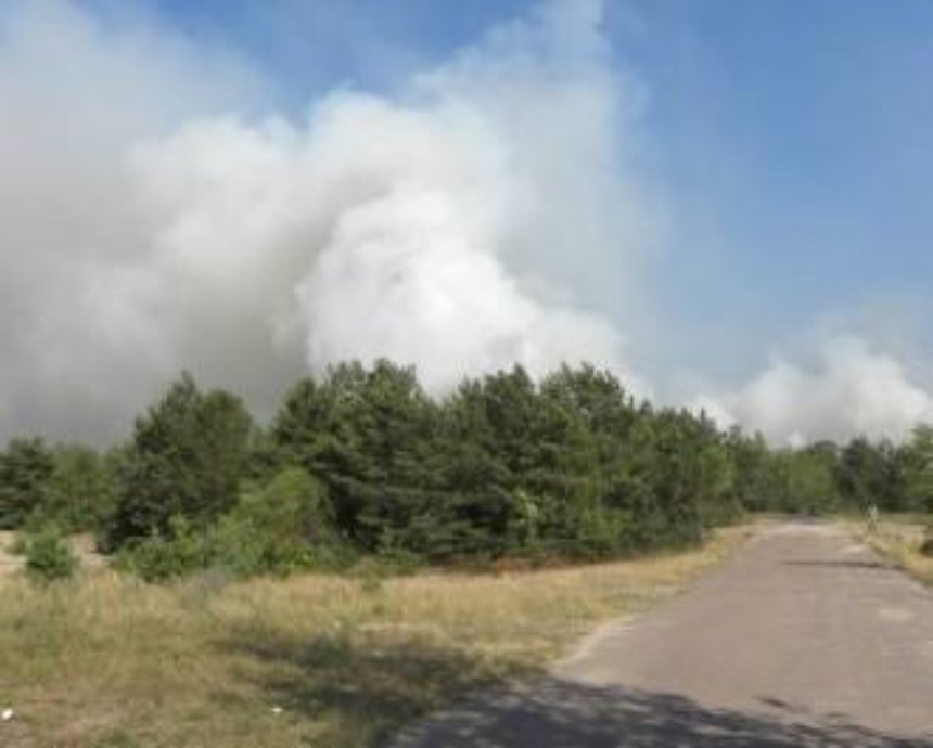 В Чернобыльской зоне третий день тушат пожар