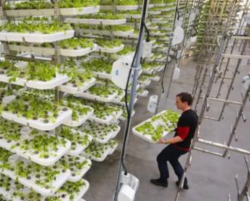 В Нью-Джерси строят вертикальную ферму, которой не нужна земля и солнечный свет (видео)