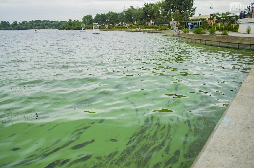 Вода в Днепре стала ярко-зеленой (фото)