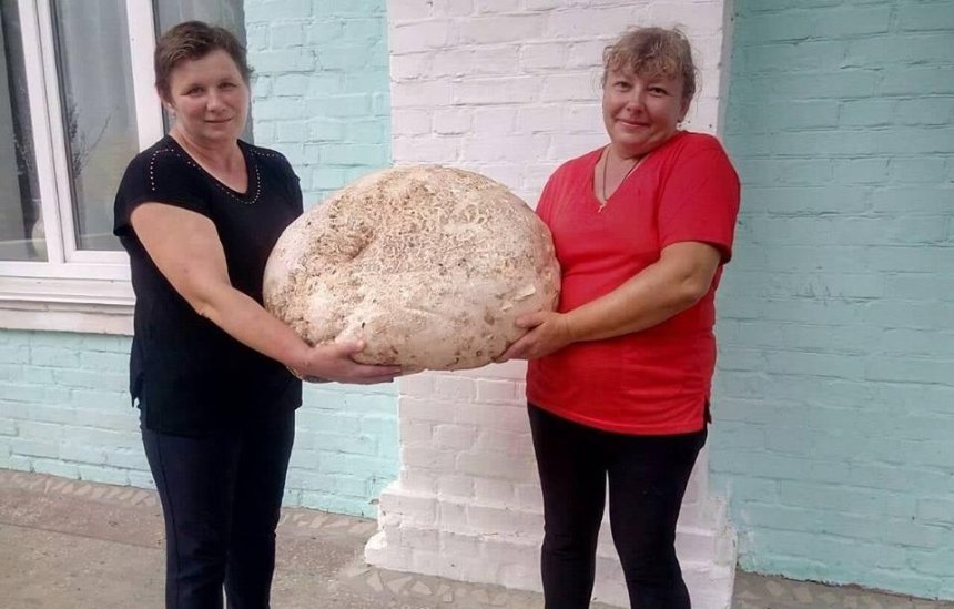 На Киевщине нашли огромный гриб весом почти 18 кг