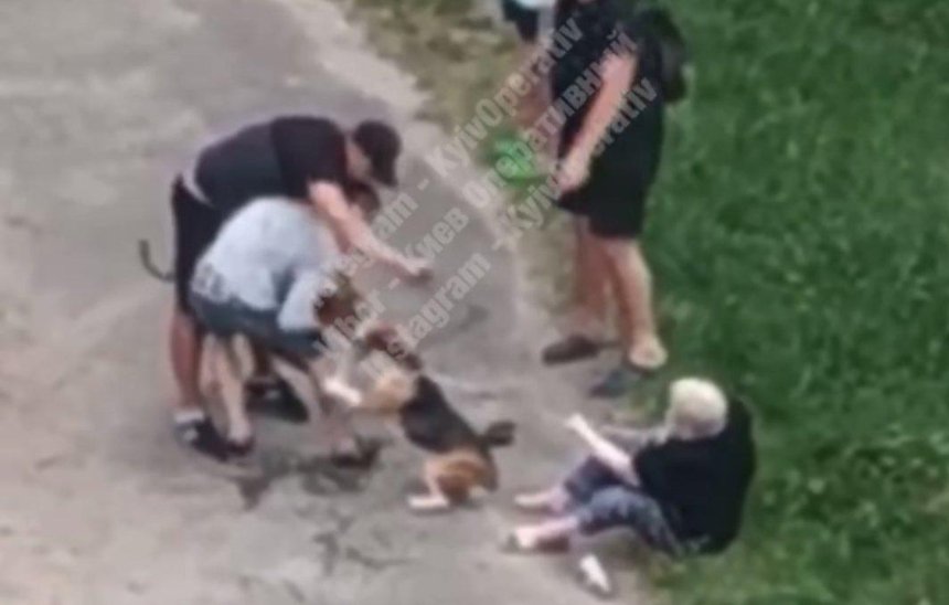 На Оболони бойцовская собака напала на женщину с биглем 