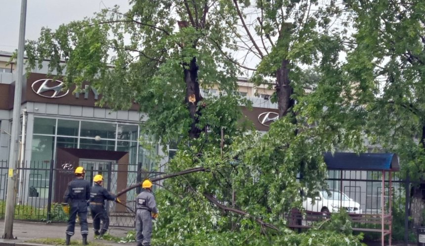 У Києві за годину випала півмісячна кількість опадів: фото наслідків грози