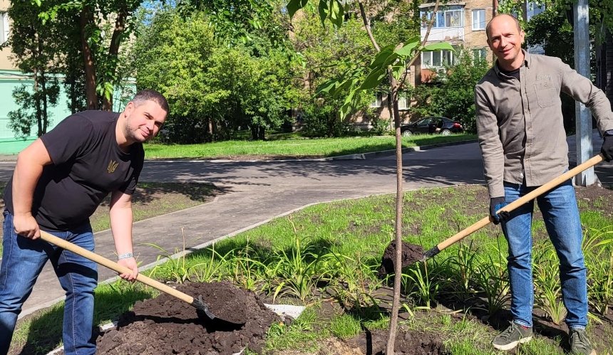 Біля Берестейської з’явилася алея катальп: як виглядає сквер без МАФів