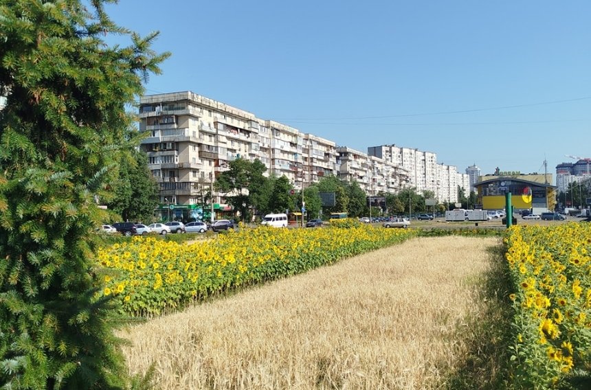 В Оболонському районі Києва створили квіткову експозицію до Дня Української Державності: як вона виглядає