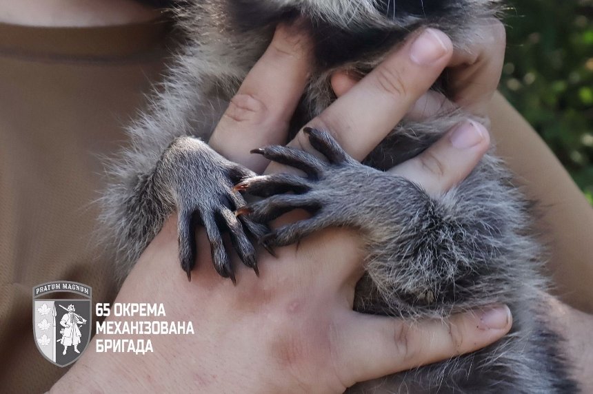 Фото: Андрій Андрієнко