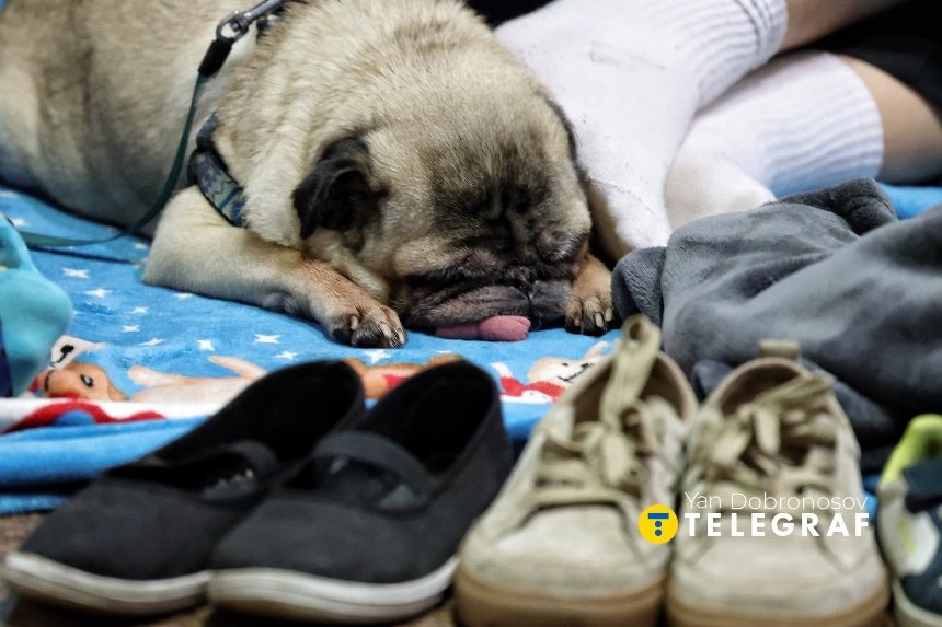 Майже 25 тисяч киян шукали укриття в метро під час нічного обстрілу