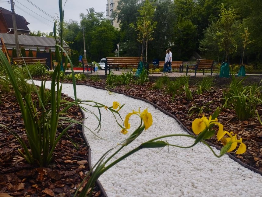 У Києві планують облаштувати ще кілька нових локацій з дощовими садками: де саме