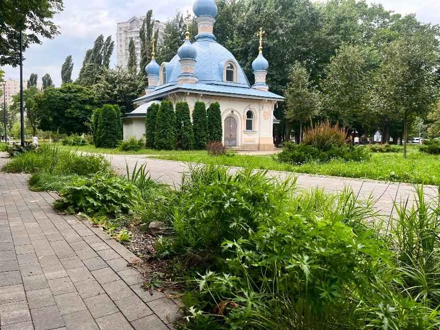 У Києві планують облаштувати ще кілька нових локацій з дощовими садками: де саме