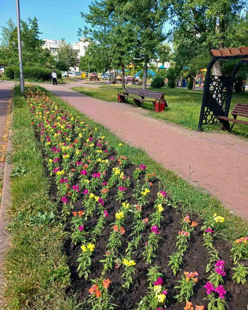 В парку "Фестивальний" оновили квіткові композиції на центральній алеї