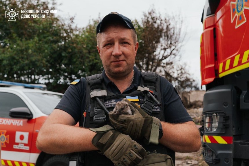 У Вишневому з-під уламків будинків дістали маленького їжачка У Вишневому з-під уламків будинків дістали маленького їжачка